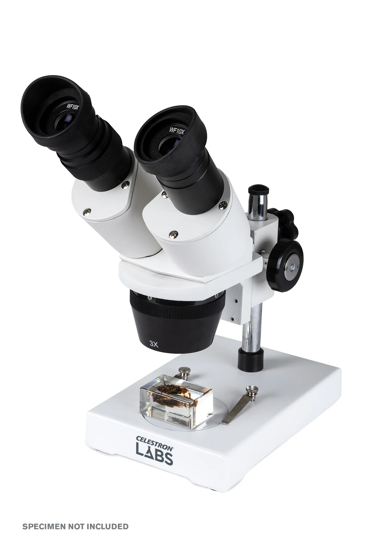 Top Microscopes